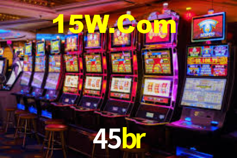 45br App Interface